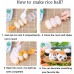 MXY Rice Ball Mould Shaker Sushi Roll Maker Kitchen Tools for Shake DIY Lunch with a Mini Rice Paddle (L-819)